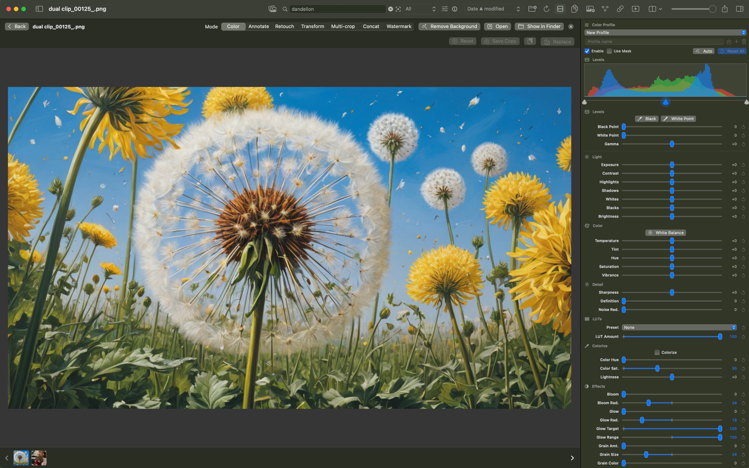PrismPro color adjustment screenshot
